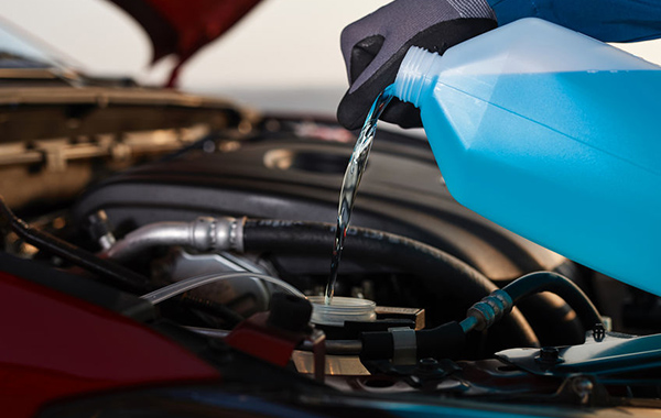 pouring engine coolant or antifreeze to vehicle